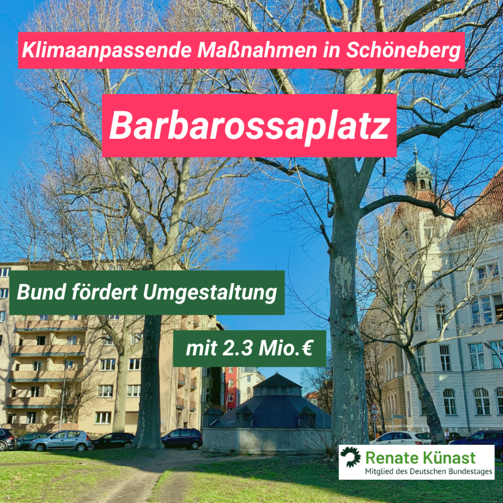 Der Barbarossaplatz mit Bäumen