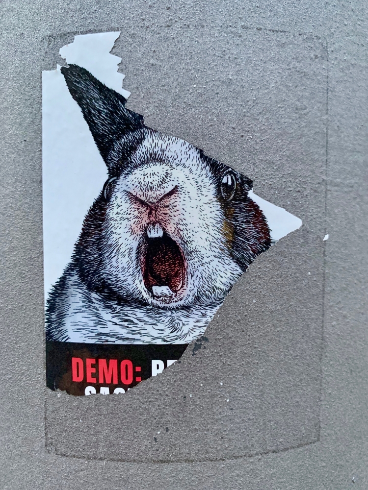 Tierversuche Demo-Sticker Photo by Bekky Bekks on Unsplash 